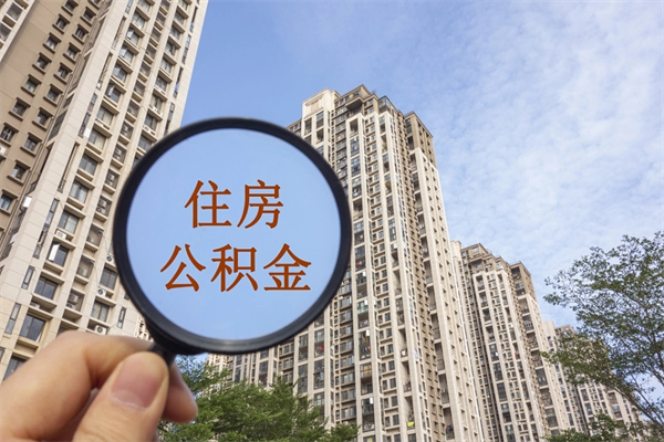 岑溪离职可以取出公积金吗（离职可以取公积金嘛）